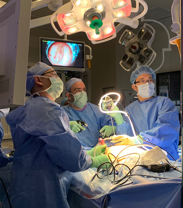 Dermoid Cyst Treatment in Mogappair