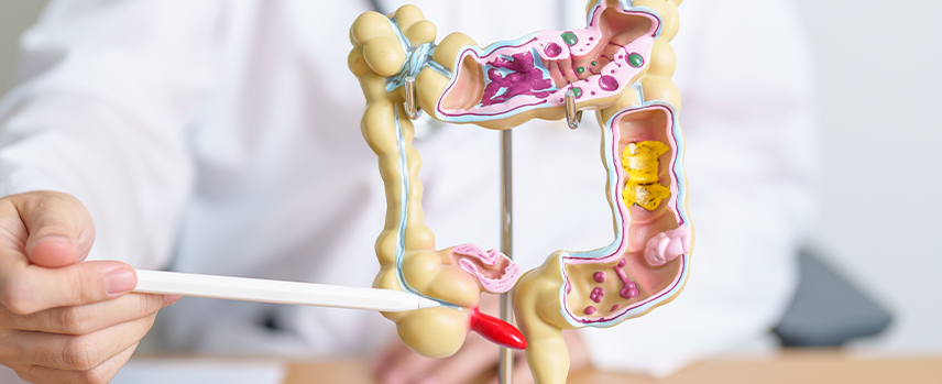 Appendicitis Surgery in Kolathur